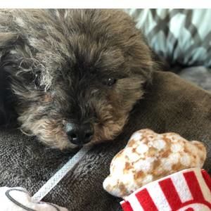 Meet your Posher, Nikki